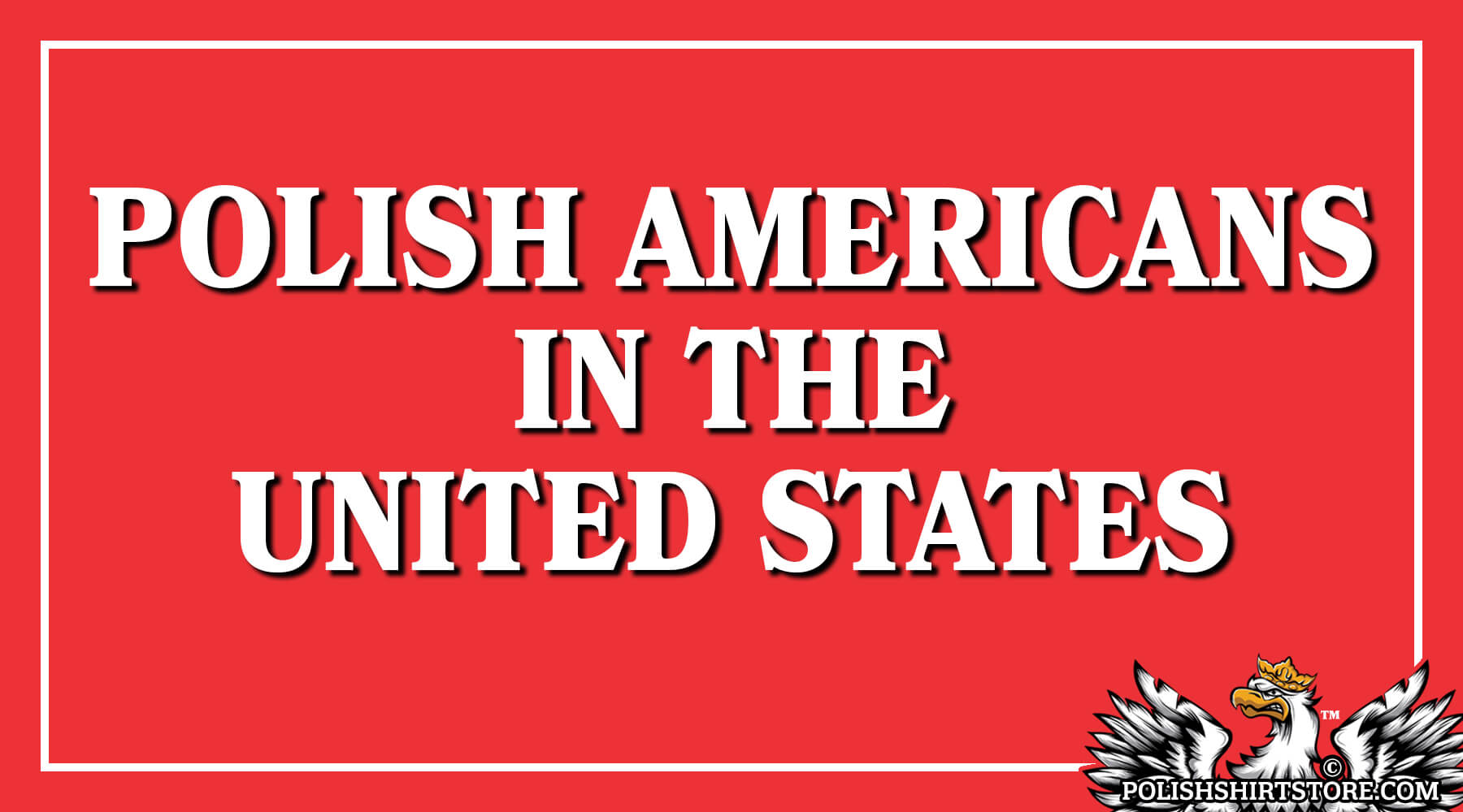 Polish Americans In The United States Blog Article