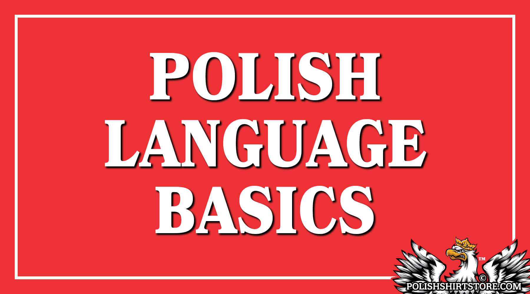 Polish Language Basics - Learn The Polish Language