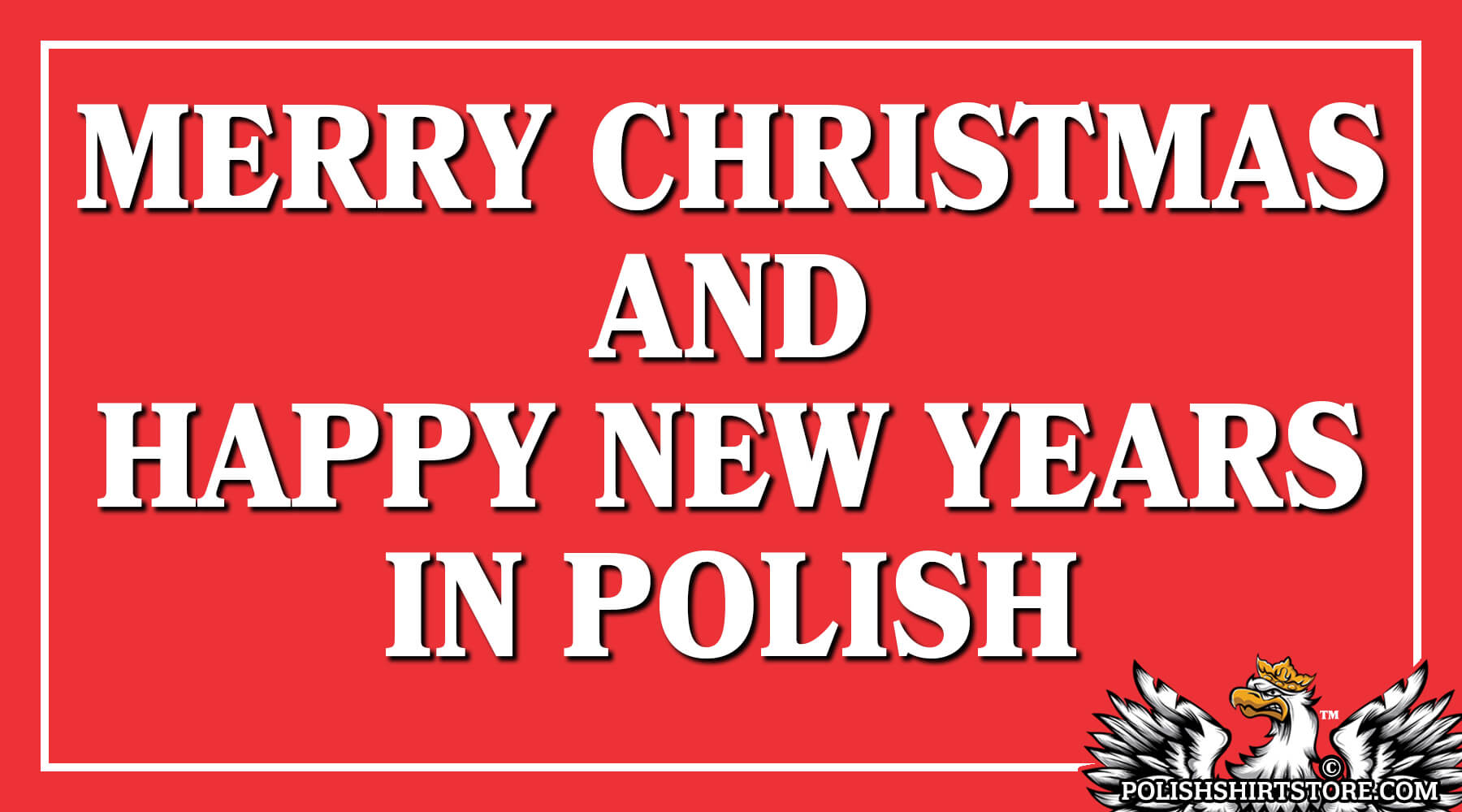 How to say Merry Christmas & Happy New Years In Polish