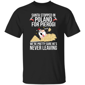 Santa Stopped in Poland for Pierogi - G500 5.3 oz. T-Shirt / Black / S - Polish Shirt Store