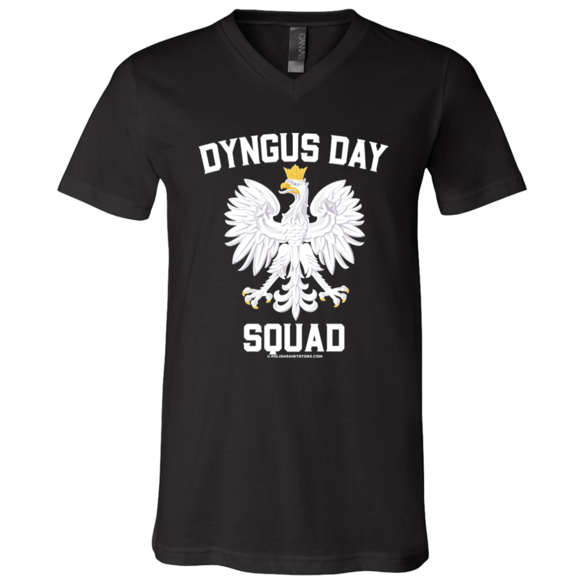 Dyngus Day Squad Apparel CustomCat 3005 Unisex Jersey SS V-Neck T-Shirt Black X-Small