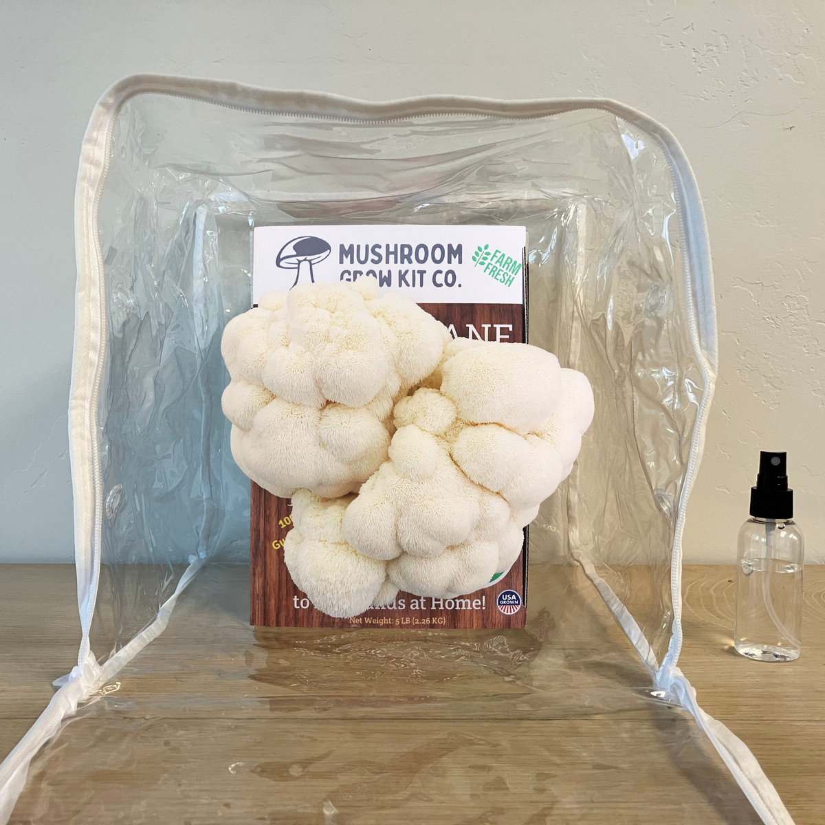 Premium Lion&#39;s Mane Mushroom Growing Kit - 5 LBS