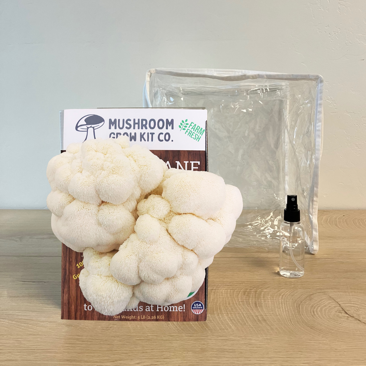 Premium Lion&#39;s Mane Mushroom Growing Kit - 5 LBS