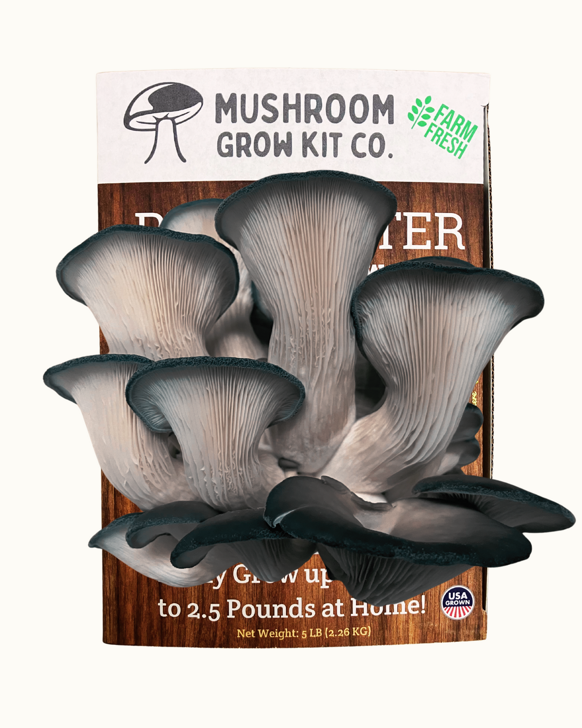 The Premium Blue Oyster Mushroom Growing Kit - 5 LBS is a beginner-friendly grow box labeled &quot;Mushroom Grow Kit Co.&quot; and &quot;Farm Fresh,&quot; perfect for growing wide-capped grayish oyster mushrooms at home.