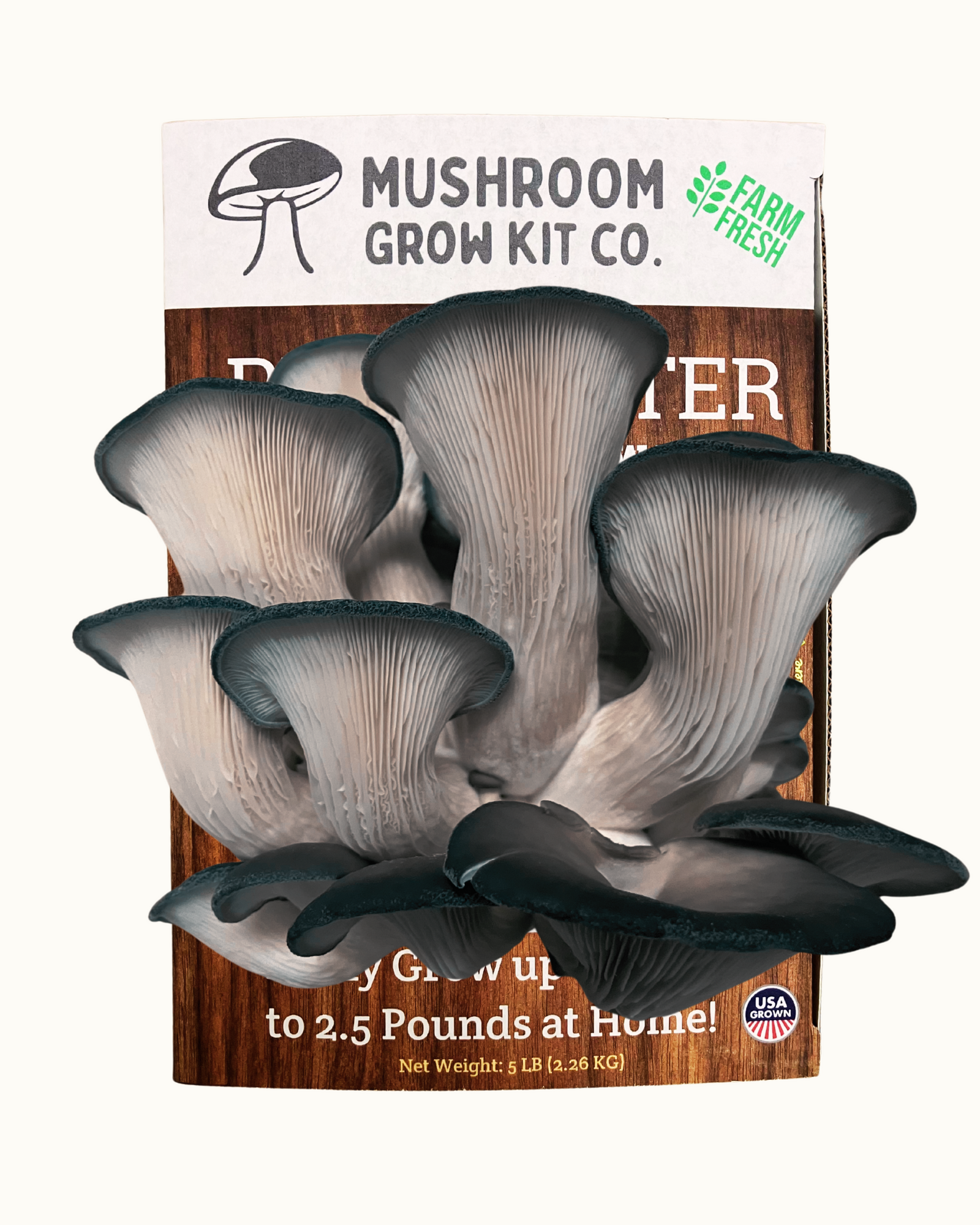 The Premium Blue Oyster Mushroom Growing Kit - 5 LBS is a beginner-friendly grow box labeled "Mushroom Grow Kit Co." and "Farm Fresh," perfect for growing wide-capped grayish oyster mushrooms at home.