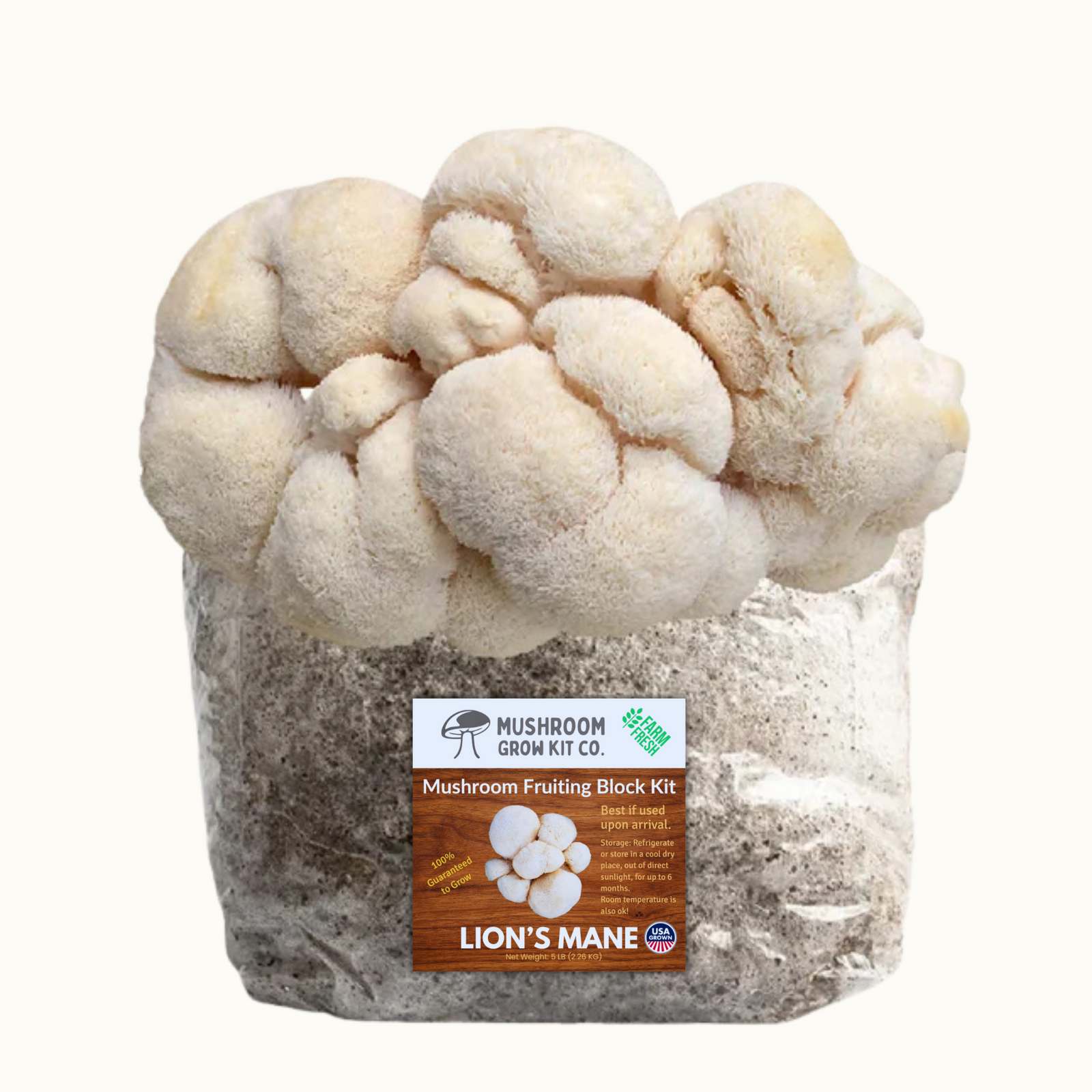 The Premium Lion's Mane Mushroom Fruiting Block Grow Kit - 5 LBS yields large, white clusters from a substrate bag labeled "Mushroom Fruiting Block Kit: Lion's Mane"—a simple, convenient way to grow fresh mushrooms at home.