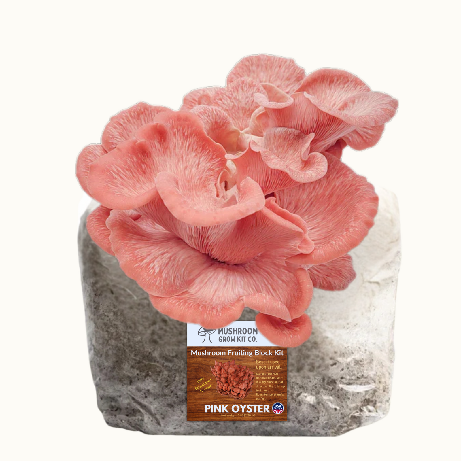 A cluster of pink oyster mushrooms grows from a white block labeled "Premium Pink Oyster Mushroom Fruiting Block Grow Kit - 5 LBS," the perfect kit for growing fresh mushrooms at home.
