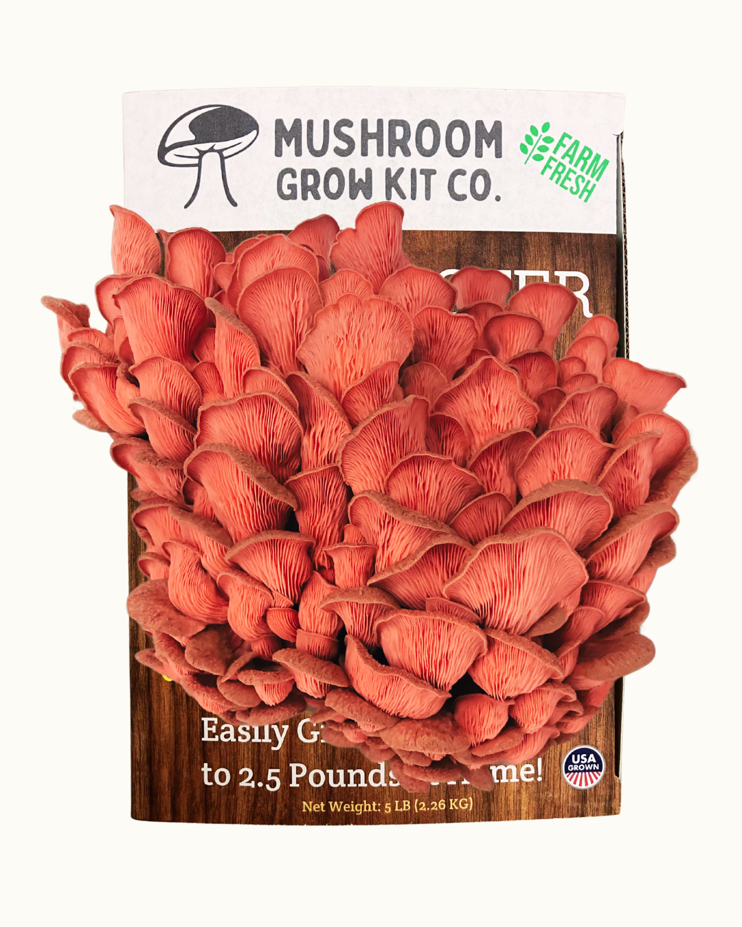 A box of the Premium Pink Oyster Mushroom Growing Kit - 5 LBS displays a vibrant cluster of pink oyster mushrooms, highlighting how this beginner-friendly kit makes home mushroom growing easy. Box features "Farm Fresh," "USA," and 5 lbs net weight.