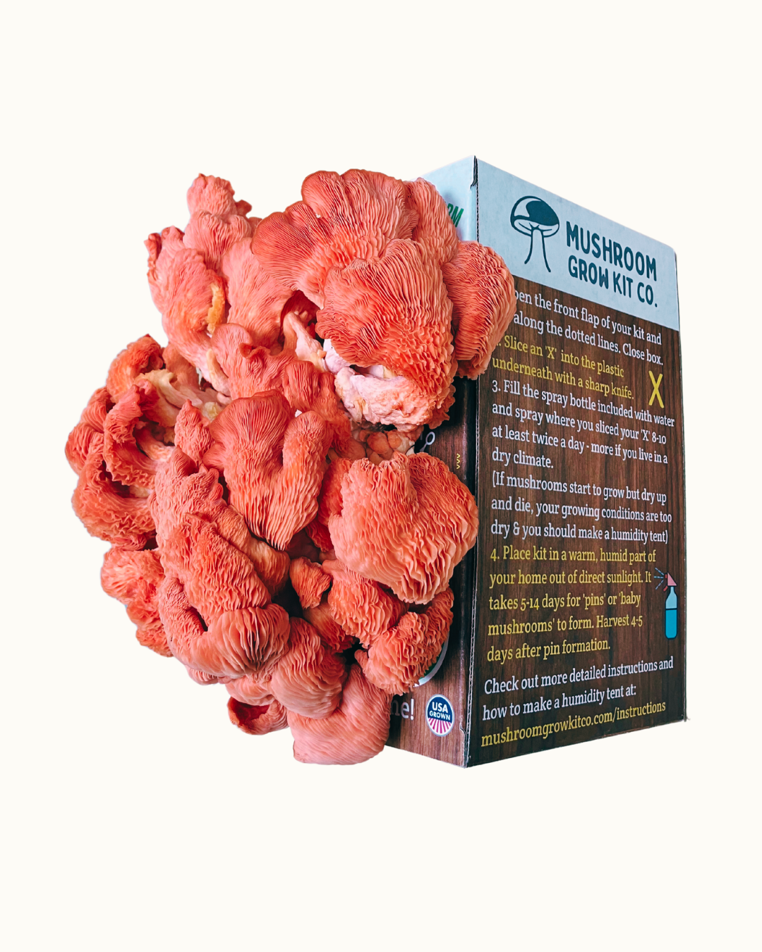 Premium Pink Oyster Mushroom Growing Kit - 5 LBS