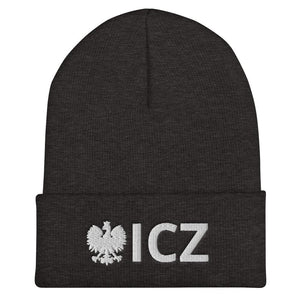 ICZ Cuffed Beanie - Dark Grey - Polish Shirt Store