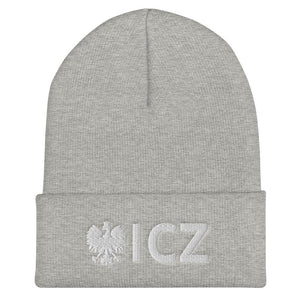ICZ Cuffed Beanie - Heather Grey - Polish Shirt Store