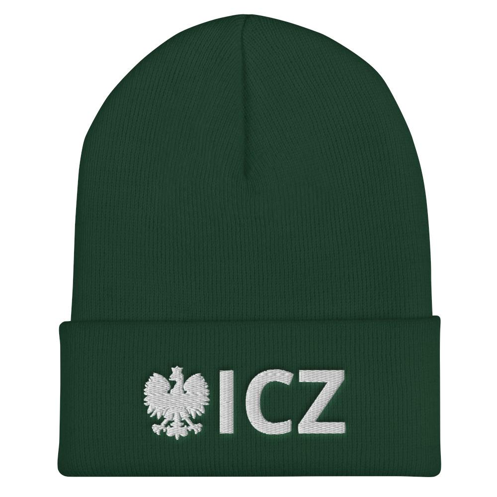 ICZ Cuffed Beanie  Polish Shirt Store Spruce  